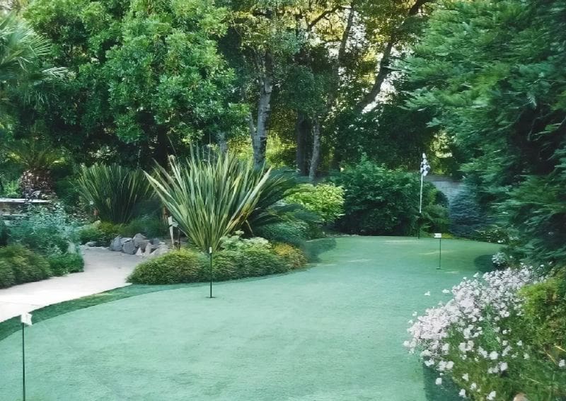 A green lawn with trees and bushes in the background.