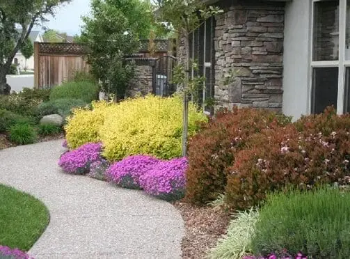 A garden with many different plants and flowers.