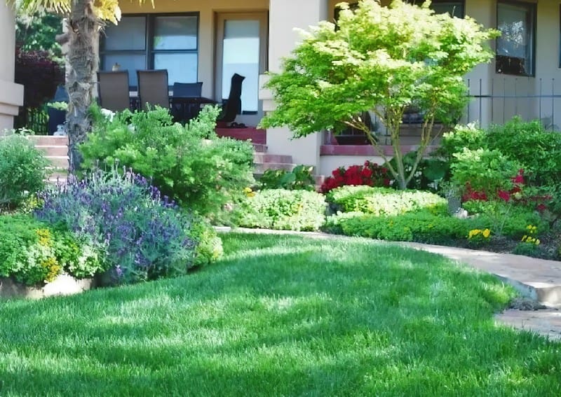 Well-maintained garden with a lush green lawn and colorful flowerbeds in front of a house.