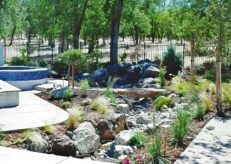 Landscaped garden with a rocky stream and a variety of plants near a paved pathway.