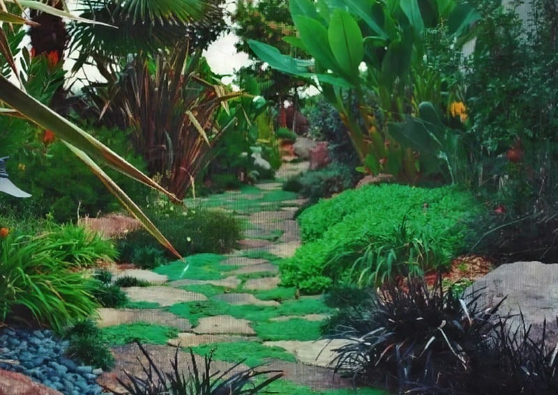 A garden path with green plants and rocks.