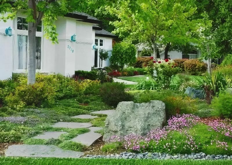 A garden with rocks and plants in the middle of it