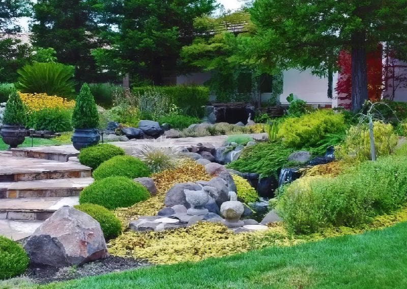 A garden with many different plants and rocks