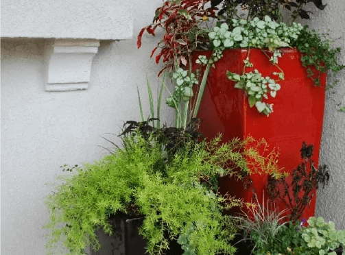 A red planter with plants in it