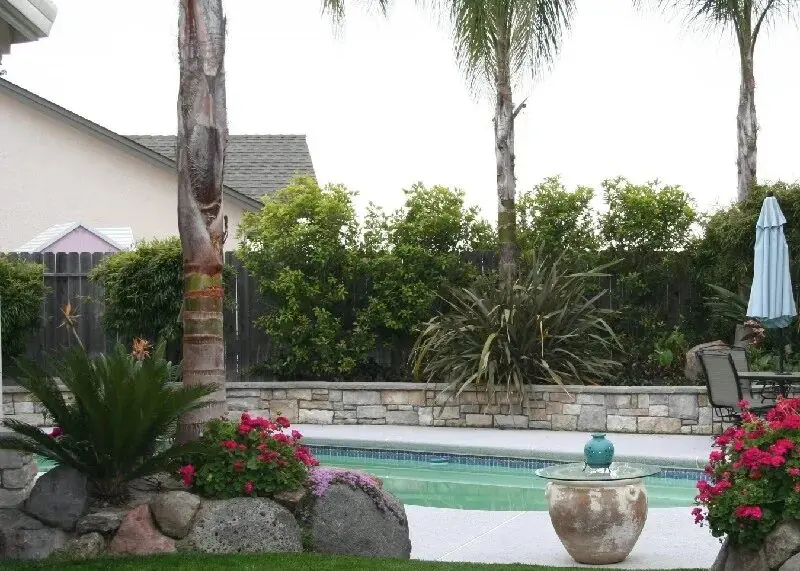 A pool with a fountain and palm trees in the background.